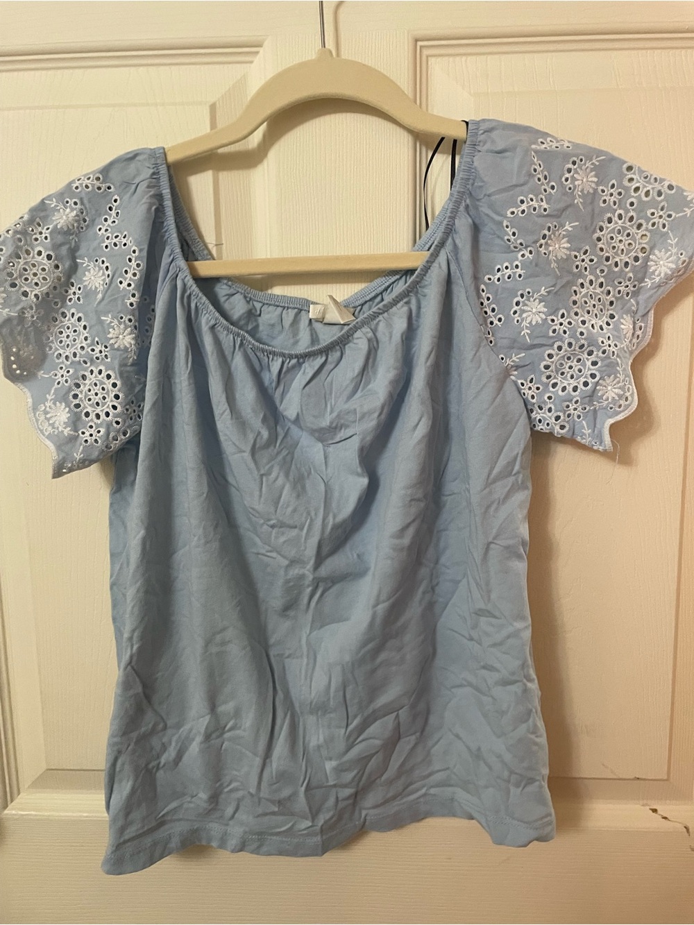 H&M Light Blue Embroidered Sleeve Women's Top
